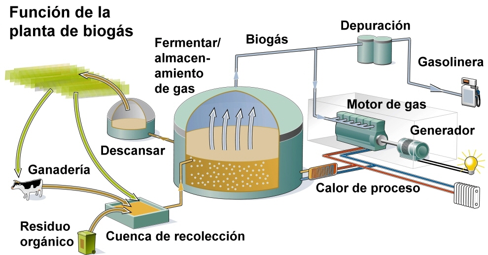 Funcin de la planta de biogs